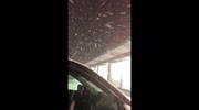 temp