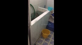 Thai man goes into bathroom to find giant monitor lizard chilling in the water tank