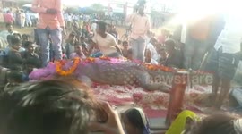 Villagers hold funeral for ancient crocodile thought to be 100 years old