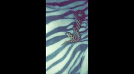 hoggie: dog dig dig, MUST DIG !