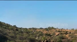 Migrating herd of elephants spook villagers in South India