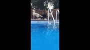 temp