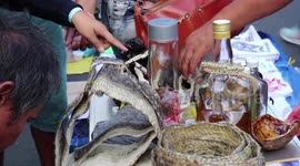 Snake oil salesman shows off his 'miracle cure' wares at Catholic procession
