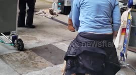 Thank God for these people who  saved these dogs lives from being eaten