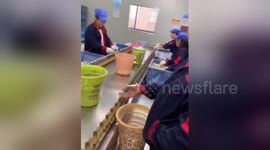 Chinese worker collects screws off a production line at incredible speed