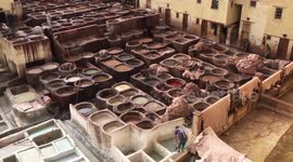Leather Tanneries in Fez, Morocco