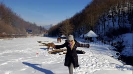 Girl and donks on snow