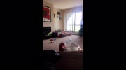 temp