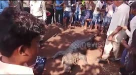 Indian villagers give teary farewell to 130-year-old friendly crocodile, to make memorial in its name