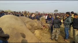 Villagers in India perform funeral rites for two elephants electrocuted by live wire