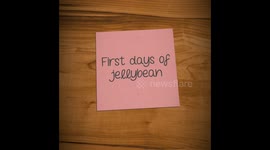 First days of jellybean