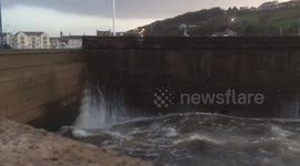 Wrong place, wrong time. Family gets soaked by wave