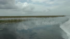 Low Angle Airboat Speeds through the Florida Everglades