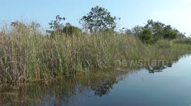 Drifting in a boat in the Florida Everglades