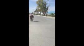 the best way to ride donkey