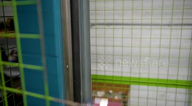 Brits admit to ignoring environmental concerns to make their lives easier