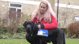 A home counties police force has become the first in the country to offer victims help during crime interviews - from an emotional support dog