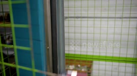 Millions of Brits admit to ignoring environmental concerns to make their lives easier, a study has found