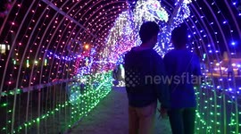 Fluorescent hay figures become popular tourist attraction in northern Thailand