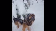 temp