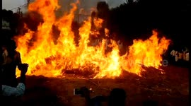 Horrific visuals show bulls forced to jump through a wall of fire in India