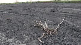 Bajo nivel en ríos del sur de Guatemala tiene preocupado a agricultores de esa región.