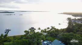 Spearfishing Cobia off Bulls Sharks Freediving attack