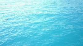 Raw Drone footage of Bull shark attack on spearfishing team