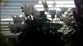 Its Chinese name sounds good!