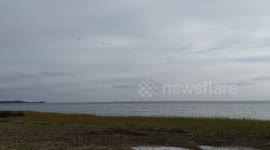 birds form the flying V over the ocean