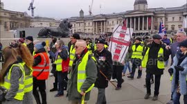 the brexit die hards