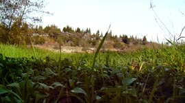 Camera down on the grass low shot next to river