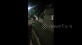 Chilling moment elephants enter home creating panic in village