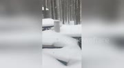 temp