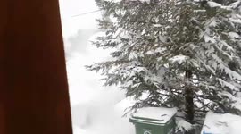 Canadian Snow Storm Fallout Jan 20 2019