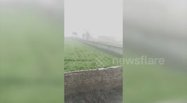 Wildcat which attacked two men was rescued by the forest officials after a marathon operation of 2 hours in Greater Noida, India