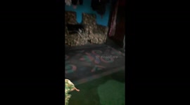 My dog sleeping like king