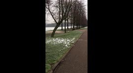 INTENSE “standoff” between Simba the PommerJack & some random snowman ...