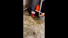 People in Gowa, Indonesia move to their roof has flood height is getting higher