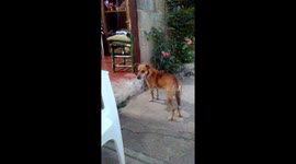 When FIRU decides to rock!