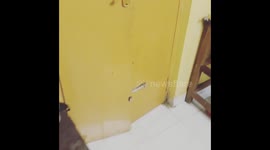 You can't hide eating with dogs.