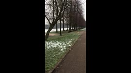 Curious Jack-A-Ranian warns off a possible threat on her routine patrol...