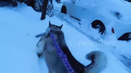 Canadian Extreme WEATHER Jan 24 2019