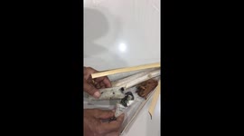 Stomach-churning moment grandmother finds dead LIZARD in her dessert