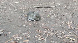 The cutest thing in the world