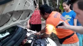 Cat rescued from car engine