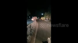 Chased by officials, elephants hop over divider to cross road