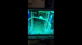 Vicious thugs snatch and run