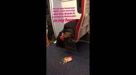 Drunken McDonald’s train theft