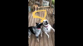 Flag thrown , 16 yard gain.